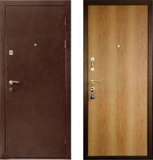Дверь Аргус 3 - фото 1